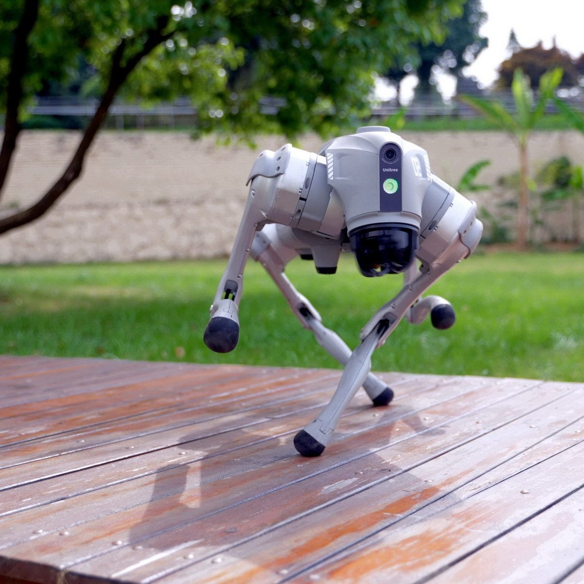 Робот-собака Unitree Go2 AIR Робот-собака Unitree Go2 AIR
